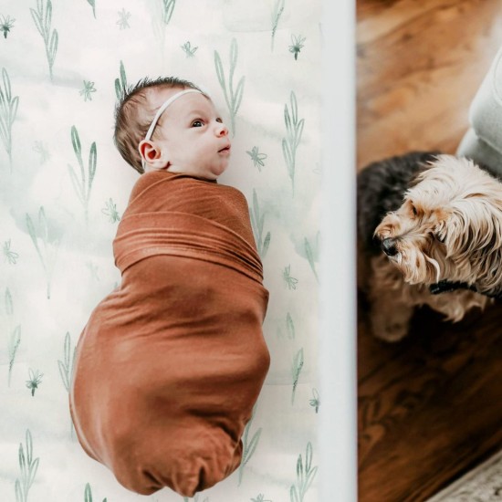 GRSSDER Ultra Soft Jersey Knit Fitted Crib Sheets Set 2 Pack, High Stretchy Breathable Material with Deep Pocket Universal Fitted All Standard Crib Mattress Pads Safe and Snug