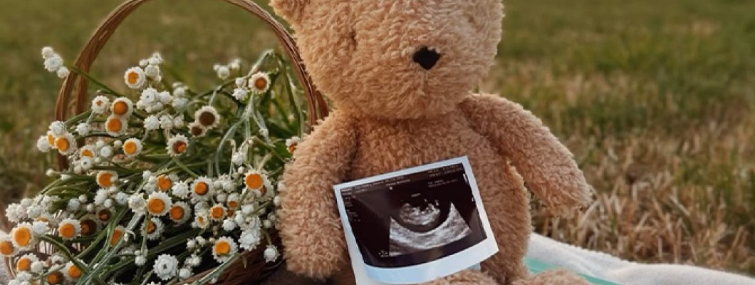 The Profound Journey of Gestation