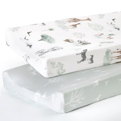 Savannah Animal Deer